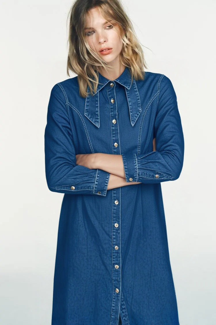 WOMEN DENIM DRESSES